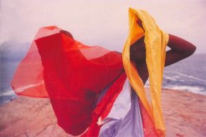 2014-06-Helio Oiticica